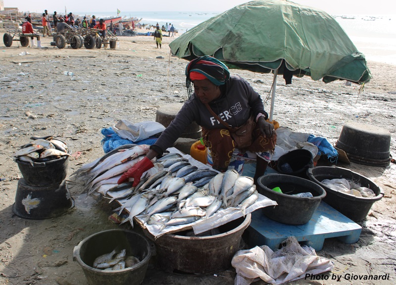 Le barche colorate dei pescatori di Nouackchott e il mercato del pesce